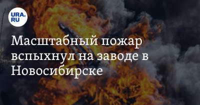 Масштабный пожар вспыхнул на заводе в Новосибирске. Видео