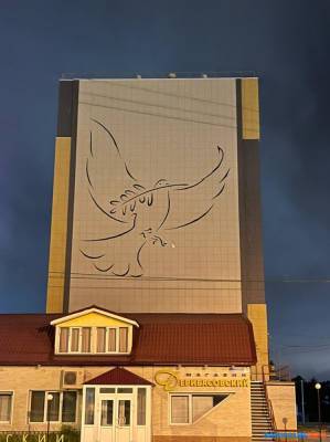 Южно-сахалинские художники нарисовали голубя на фасаде многоэтажки