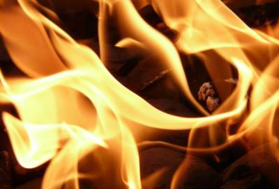 Спасатели за полчаса потушили пожар в частном доме в Подпорожском районе