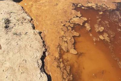 Активисты ЭРА сообщили о загрязнении реки Старицы в Солотче