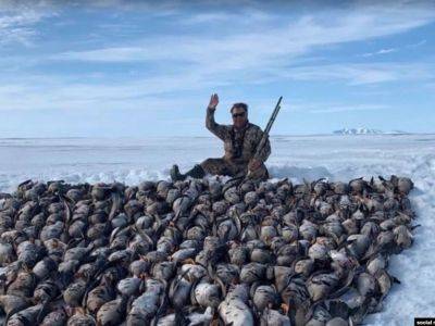 "Единая Россия" пристановила членство депутата, выложевшего из трупов 150 птиц надпись "Чукотка 2021 ?"