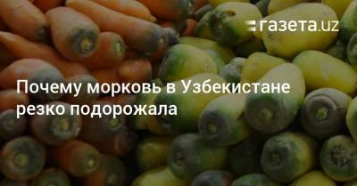 Почему морковь в Узбекистане резко подорожала