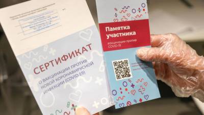 Минтранс РФ предложил авиакомпаниям обеспечить авторизацию по сертификатам вакцинации