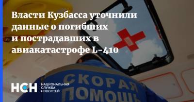 Власти Кузбасса уточнили данные о погибших и пострадавших в авиакатастрофе L-410
