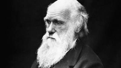 Чарльз Дарвин - Ученые нашли ошибку в теории Дарвина - mir24.tv