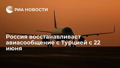 Голикова: авиасообщение с Турцией будет возобновлено с 22 июня
