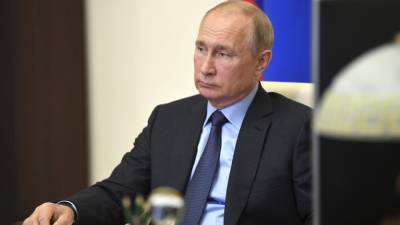 Владимир Путин - Викторий Абрамченко - Путин считает недопустимым сбой с запретом экспорта древесины из России - newinform.com