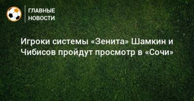Игроки системы «Зенита» Шамкин и Чибисов пройдут просмотр в «Сочи»