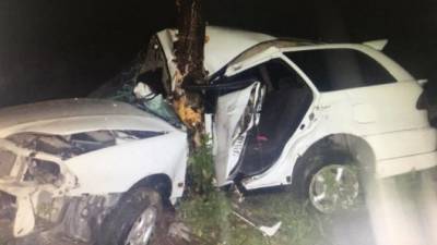 В Приморском крае пьяный водитель не справился с управлением — погиб пассажир его автомобиля