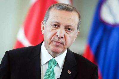 Президент Турции приветствует решение России возобновить авиасообщение с Турцией