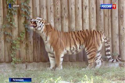 В Ростовском зоопарке возобновились экскурсии и показательные кормления