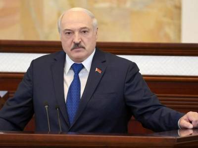 Лукашенко предложил представителям ОРДЛО допросить Протасевича