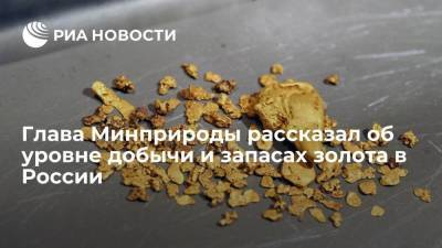 Глава Минприроды рассказал об уровне добычи и запасах золота в России