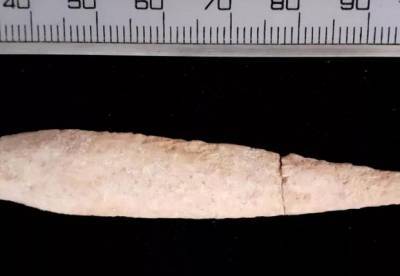 Археологи обнаружили наконечник стрелы из библейской битвы