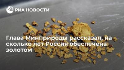 Глава Минприроды рассказал, на сколько лет Россия обеспечена золотом