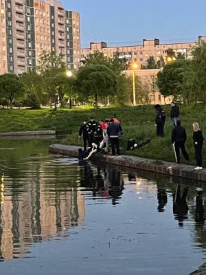 В пруду парка Малиновка утонул мужчина