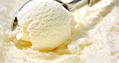 Институт мясо-молочной промышленности НАН представит на «Белагро» вегетарианское мороженое