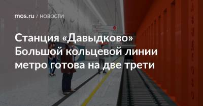 Станция «Давыдково» Большой кольцевой линии метро готова на две трети