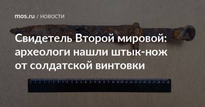 Свидетель Второй мировой: археологи нашли штык-нож от солдатской винтовки
