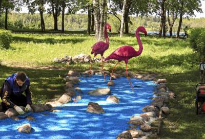 В кировском парке теперь "живёт" пара фламинго