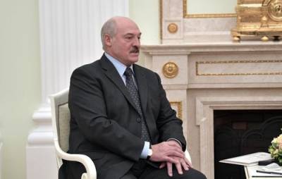 Лукашенко пригласил следователей из Донбасса посетить Протасевича: «Милости просим»