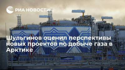 Шульгинов оценил перспективы новых проектов по добыче газа в Арктике