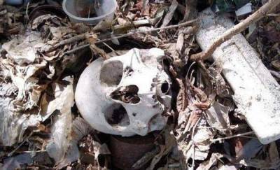 В логу реки Тюменки экоактивисты нашли человеческие черепа