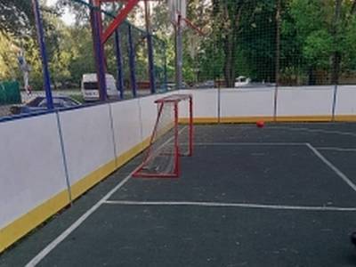 В Москве возбудили дело после падения хоккейных ворот на ребенка