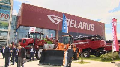 Экспорт белорусской сельхозпродукции за 5 лет вырос почти на 30%