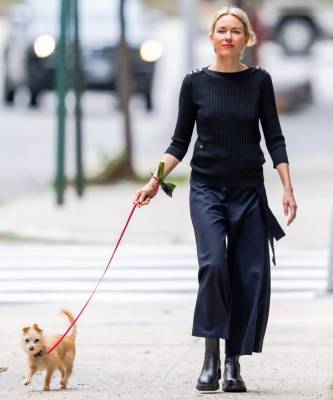 Непринужденная роскошь: Наоми Уоттс и ее образ для прогулки с собакой