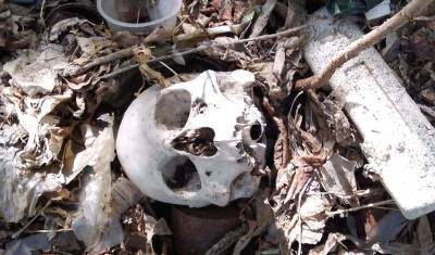Человеческие черепа нашли экоактивисты в логу реки Тюменки