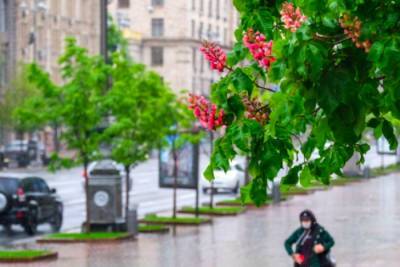 Май в Киеве оказался дождливым и холодным: итоги месяца