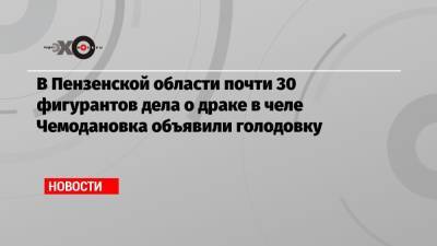 В Пензенской области почти 30 фигурантов дела о драке в челе Чемодановка объявили голодовку