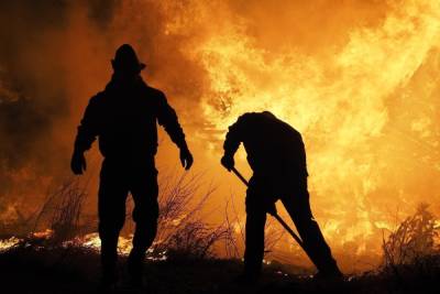 В Псковской области в 2,5 раза вырос спрос на пожарных