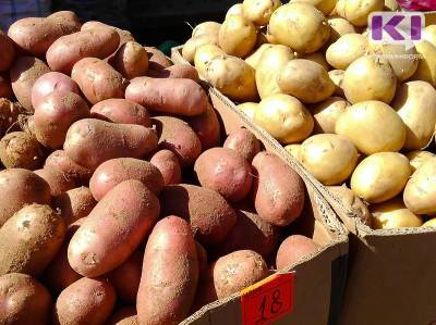 В Коми планируют создать центр по семеноводству картофеля