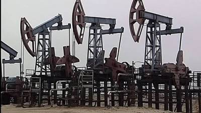 Добыча нефти в России снизилась в январе-мае на 6,3%, газа – выросла на 11%