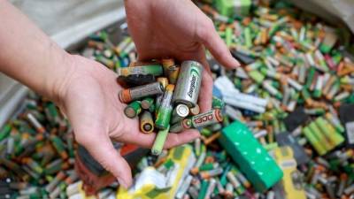 Экозабота: российские школьники собирали батарейки для спасения Земли