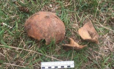 Человеческим останкам, которые нашли в логу реки Тюменка, не менее 50 лет