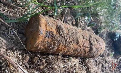 Житель тюменского поселка нашел артиллерийский снаряд на берегу реки