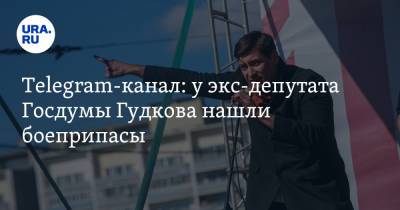 Telegram-канал: у экс-депутата Госдумы Гудкова нашли боеприпасы. Ему грозит новое уголовное дело
