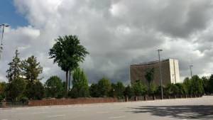 Синоптики обещают дожди и грозы в Ташкенте