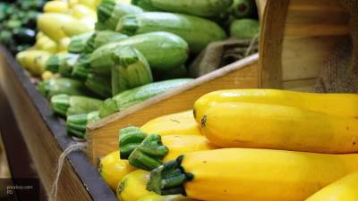 Дачникам рассказали, какие овощи можно сажать в июне