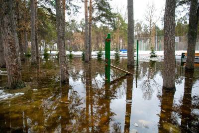 Парк «Зеленая роща» в Екатеринбурге снова отремонтируют