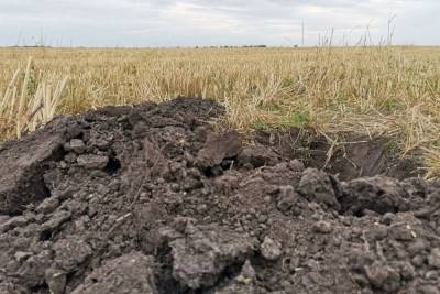Земельный участок в Щекинском районе отдали под строительство газозаправки