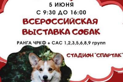 Конкурс собачьей красоты пройдёт в Серпухове