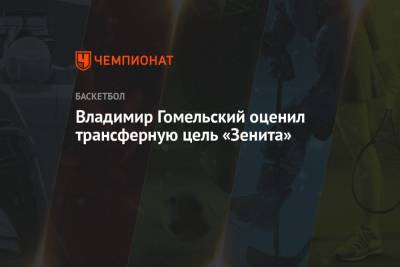 Владимир Гомельский оценил трансферную цель «Зенита»