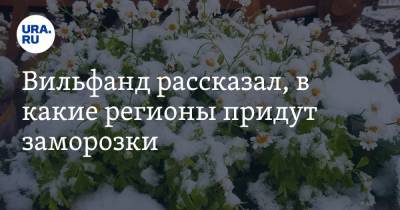 Вильфанд рассказал, в какие регионы придут заморозки. В списке Урал