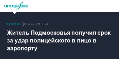 Житель Подмосковья получил срок за удар полицейского в лицо в аэропорту