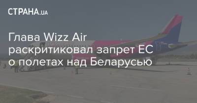 Глава Wizz Air раскритиковал запрет ЕС о полетах над Беларусью