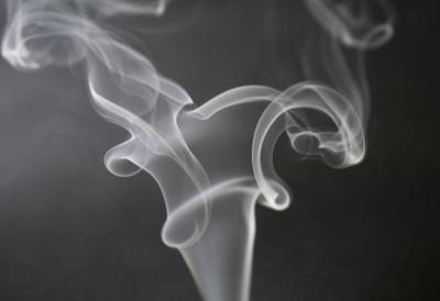 В Петербурге запустят производство нагреваемых табачных стиков